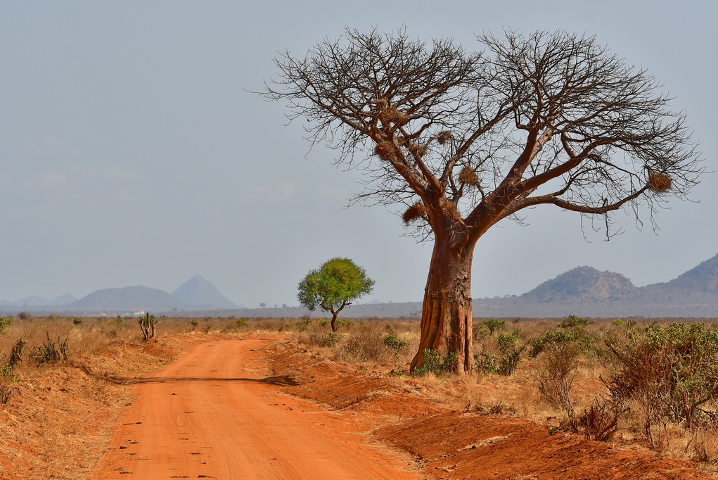 Tsavo East National Park